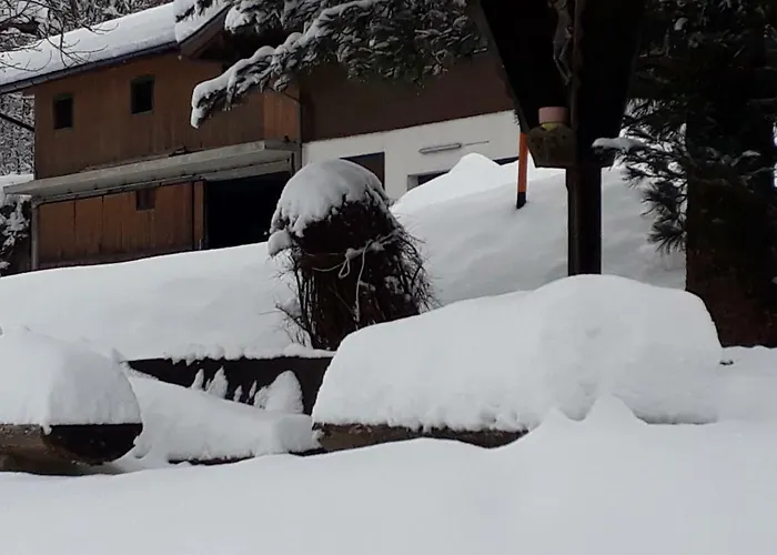 Appartement Wildkogelblick
