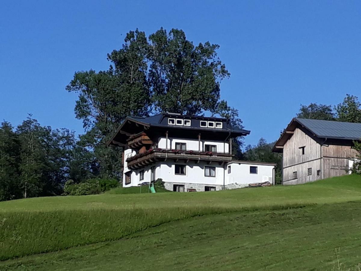 Kwatera prywatna Wildkogelblick